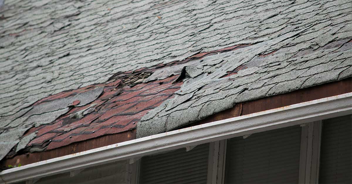 10 Reasons to Repair Roof Damage ASAP