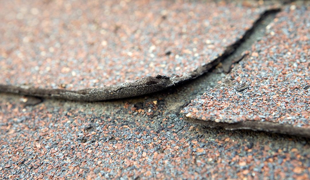 roof damage in spring