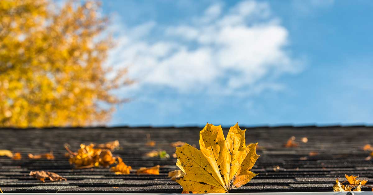 Why You should Replace Your Roof in the Fall